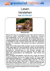 Nebelparder - Sachtext.pdf